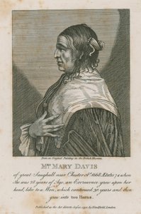 Pani Mary Davis z wielkiego Saughall niedaleko Chester, 1668 autorstwa English School