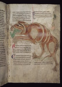 Ms.254 f.24 r Cocodrillus połykający mężczyznę autorstwa English School