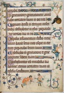 Pani Dod. 42130, f.159 Sokolnik, z „Psałterza Luttrella”. ok. 1325 (welum) autorstwa English School