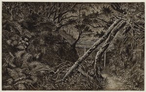 Mulgrave Woods, niedaleko Whitby (litografia) autorstwa English School