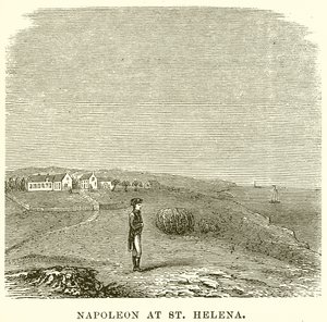 Napoleon u św. Heleny autorstwa English School