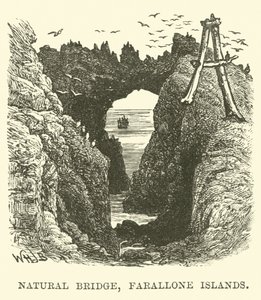 Naturalny most, Wyspy Farallone autorstwa English School