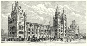 Muzeum Historii Naturalnej, South Kensington (grafika) autorstwa English School
