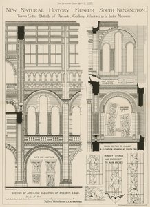 Nowe Muzeum Historii Naturalnej, South Kensington, Londyn autorstwa English School