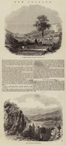Nowa Zelandia (grawerowanie) autorstwa English School
