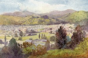 Nowa Zelandia: Nelson (druk kolorowy) autorstwa English School