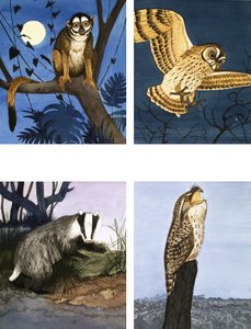 Nocne stworzenia autorstwa English School