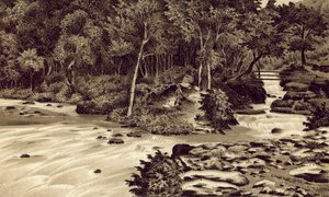 North Devon: "The Watersmeet", Lynmouth (litografia) autorstwa English School