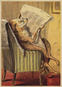 Old Mother Hubbard (kolorowy grawerunek) autorstwa English School