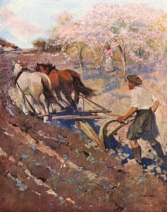 Ontario, osadnik z Glengarry (kolorowa litografia) autorstwa English School
