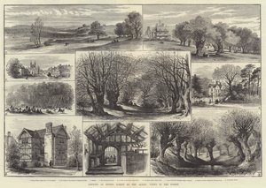Otwarcie Epping Forest przez królową, Widoki w lesie (rycina) autorstwa English School
