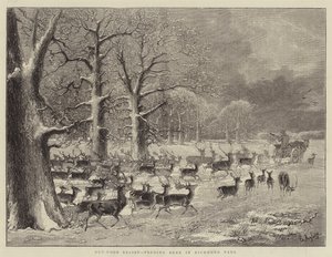 Relief na świeżym powietrzu, karmienie jelenia w Richmond Park (grawerunek) autorstwa English School