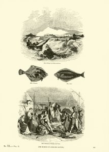 Strona z Obrazkowego Muzeum Przyrody Ożywionej autorstwa English School