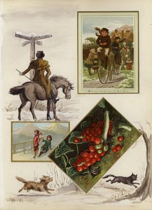 Strona z albumu z okresu późnego wiktoriańskiego (multimedia)