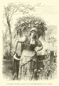 Chłopka z okolic Trent autorstwa English School