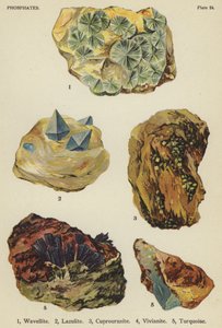 Fosforany, falelit, lazulit, kuprouranit, wiwianit, turkus (kolor lito) autorstwa English School