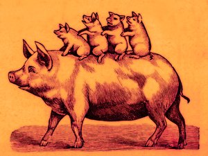 Świnia z prosiętami, ilustracja z Coles Funny Picture Book (obraz ulepszony cyfrowo) autorstwa English School