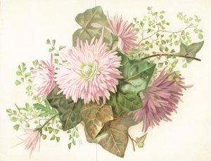 Różowe Kwiaty (Dalia), Kartka autorstwa English School