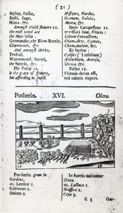 Hodowla roślin z „Orbis sensualism pictus” Johanna Amosa Comeniusa, wydana ok. 1689 r. autorstwa English School
