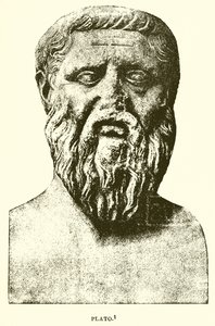 Platon autorstwa English School