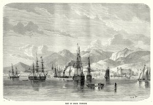 Port of Spain. Trynidad (rycina) autorstwa English School
