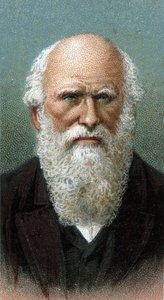 Portret Karola Roberta Darwina (1809-1882) - Z serii „”Przywódcy ludzi”” - Chromolitografia - Szkoła angielska, XX wiek - autorstwa English School
