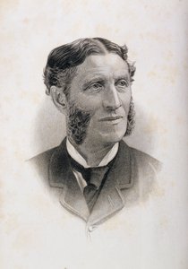 Portret Mateusza Arnolda (1822-88), autorstwa English School