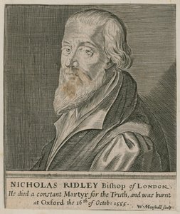 Portret Nicholasa Ridleya