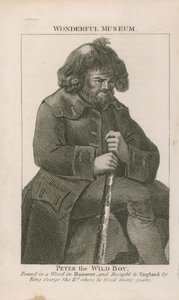 Portret Piotra Dzikiego Chłopca autorstwa English School