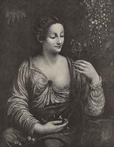 Portret młodej damy autorstwa English School