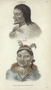 Portrety Indianina Copper i Indianina z Gór Skalistych (kolorowe grawerowanie) autorstwa English School