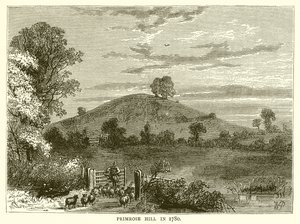 Wzgórze Pierwiosnkowe w 1780