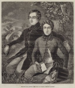 Princes of Baden, kuzyni JKW księcia Alberta (rycina) autorstwa English School