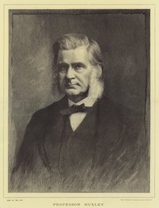 Profesor Huxley (Grawerowanie) autorstwa English School
