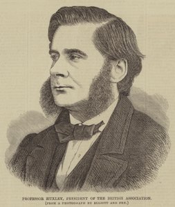 Profesor Huxley, Prezes Brytyjskiego Stowarzyszenia (grafika) autorstwa English School