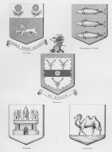 Broń publiczna: Athlone; Kingston nad Tamizą; Keighleya; Ateny; Camelford (grawerowanie) autorstwa English School
