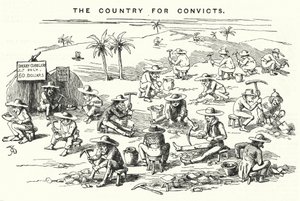 Punch cartoon: California, The Country for Convicts (grawerowanie) autorstwa English School