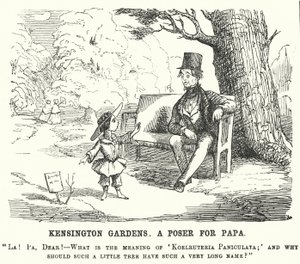 Karykatura z dziurkacza: dziecko zadające ojcu pytanie w Kensington Gardens w Londynie (rycina) autorstwa English School