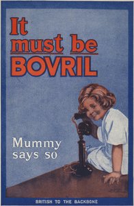 Tylna okładka książki Bovril Handy i pamiętnika wojny