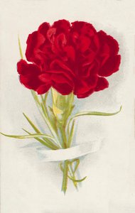 Czerwony goździk (chromolitho) autorstwa English School