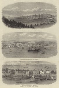 Regaty w Halifax w Nowej Szkocji (grawerowanie) autorstwa English School