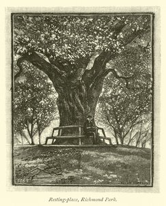 Miejsce odpoczynku, Richmond Park autorstwa English School