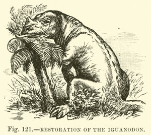 Przywrócenie Iguanodon autorstwa English School