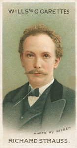 Ryszard Strauss autorstwa English School