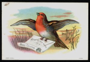 Robin z wiadomością bożonarodzeniową, kartka z życzeniami. (chromolit) autorstwa English School