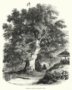 Drzewo kasztanowca Robinsona Crusoe (grawerowanie) autorstwa English School