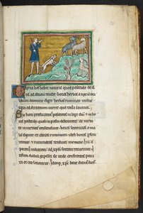 Królewski 12 F.XIII, f.20 Myśliwy lub rolnik z psami, goniący kozy.  Bestiariusz (ff. 3-141), Lapidarium (ff. 141v-149)  2. ćwierć XIII wieku autorstwa English School