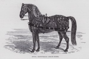 Royal Hanoverian Coach-Horse (grawerowanie) autorstwa English School
