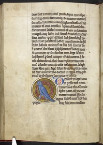 Royal MS 12 C XIX f.50v, Dudek, z „Bestiariusza”, c.1200-10 (tusz, kolor i złoto na welinie) autorstwa English School
