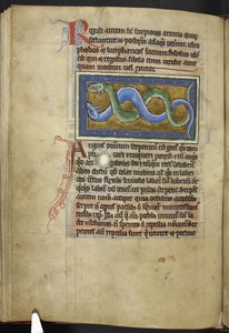 Royal MS 12 C XIX, f.63v Anguis, z 